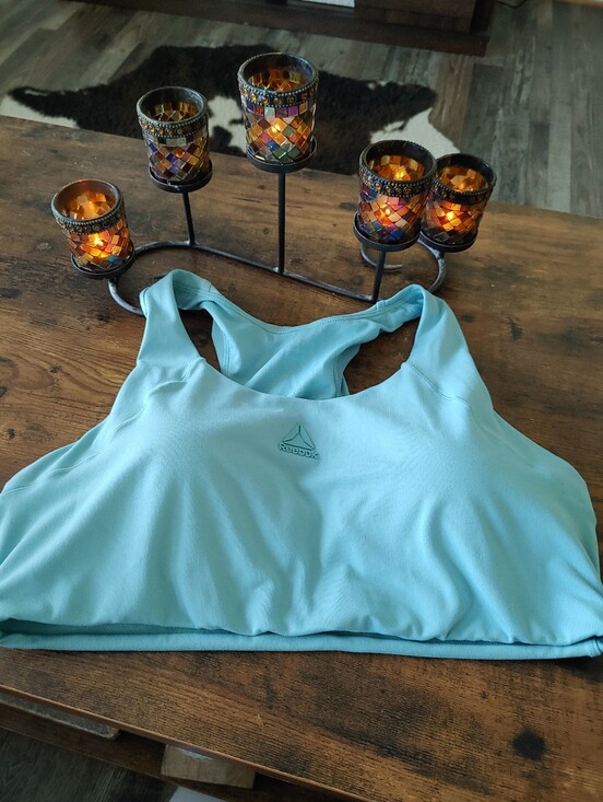 Reebok Other - Like New Reebok Blue Padded XXL Wirefree Super Soft Sports Bra